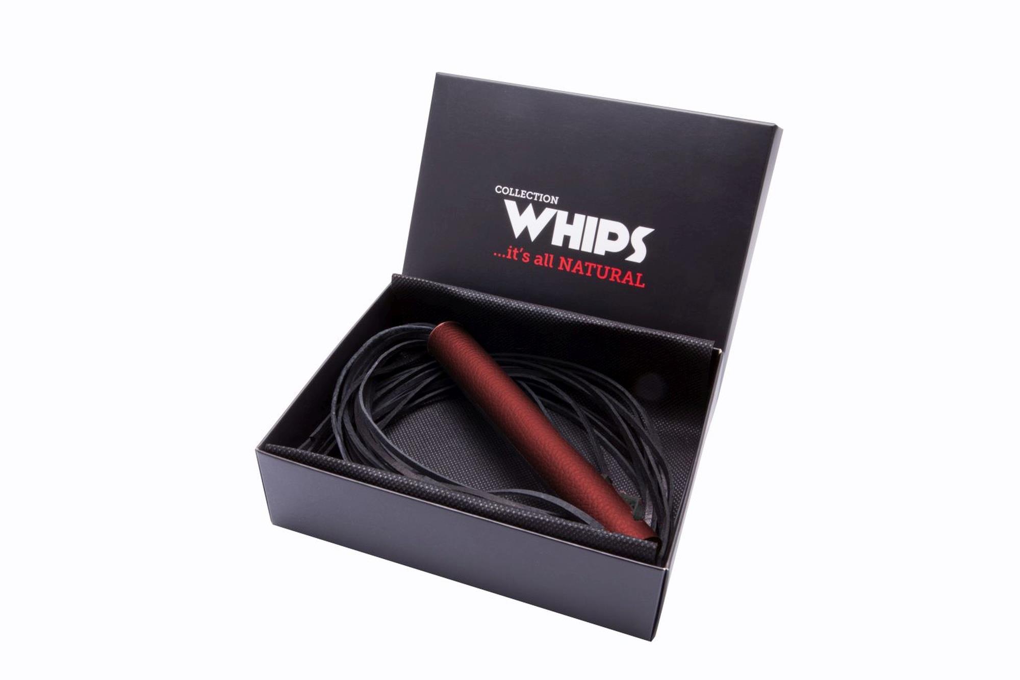 Whips Collection Duży — czerwony Whips Collection Duży — czerwony
