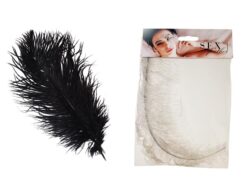 Grajmy razem Feather Grajmy razem Feather
